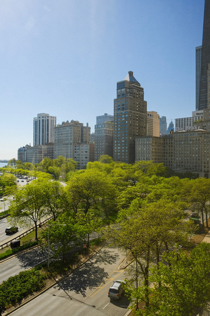 1100 North Lake Shore Drive Chicago IL 60611