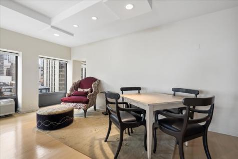 1100 North Lake Shore Drive Chicago IL 60611