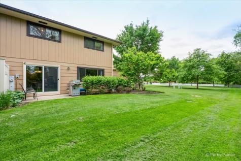 802 Dighton Lane Schaumburg IL 60173