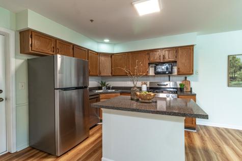 1230 Orleans Drive Mundelein IL 60060