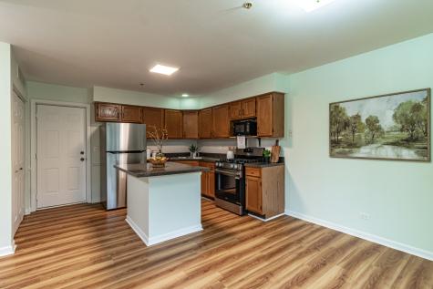 1230 Orleans Drive Mundelein IL 60060