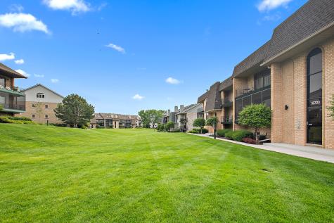 15703 Old Orchard Court Orland Park IL 60462