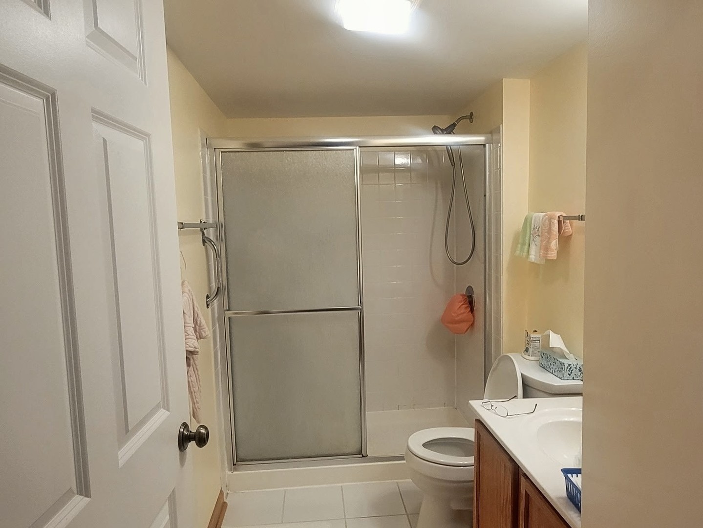 2227 Waterleaf Court Naperville IL 60564