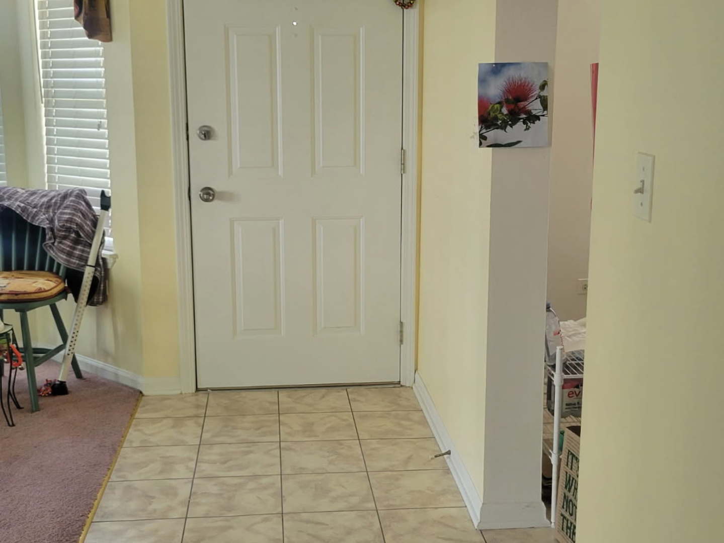 2227 Waterleaf Court Naperville IL 60564
