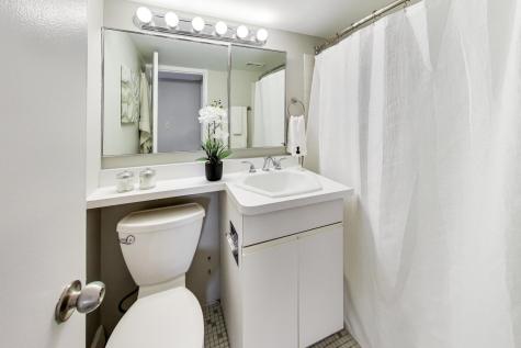 1355 North Sandburg Terrace Chicago IL 60610