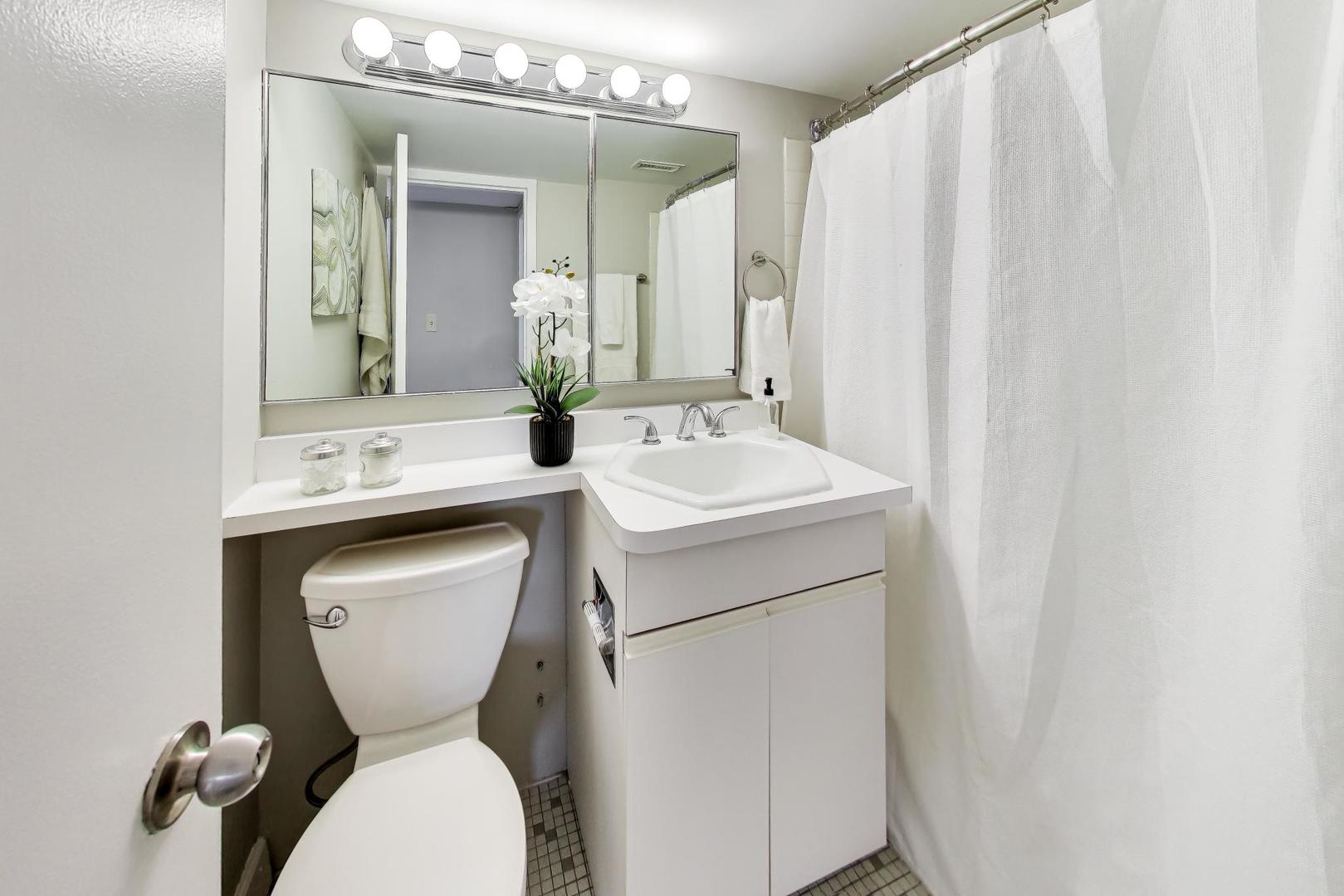 1355 North Sandburg Terrace Chicago IL 60610