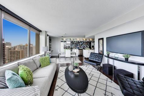 1355 North Sandburg Terrace Chicago IL 60610