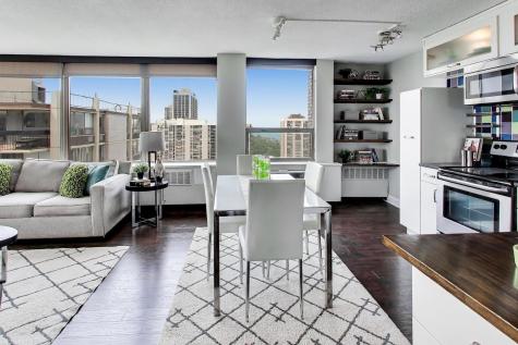 1355 North Sandburg Terrace Chicago IL 60610
