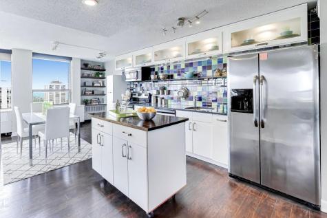 1355 North Sandburg Terrace Chicago IL 60610