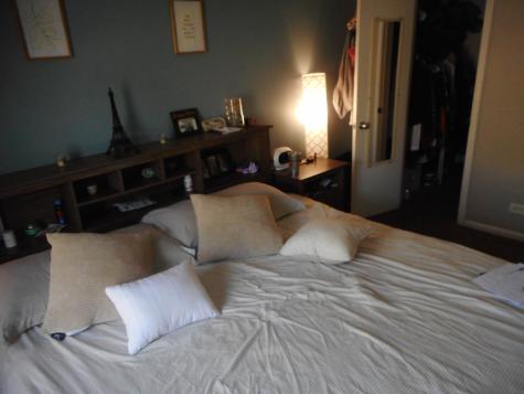 753 Candleridge Court Bartlett IL 60103