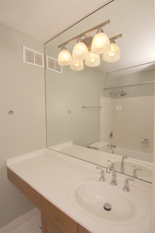474 North Lake Shore Drive Chicago IL 60611