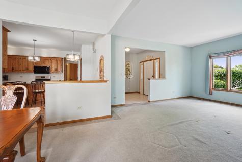 10814 Pamela Lane Orland Park IL 60467