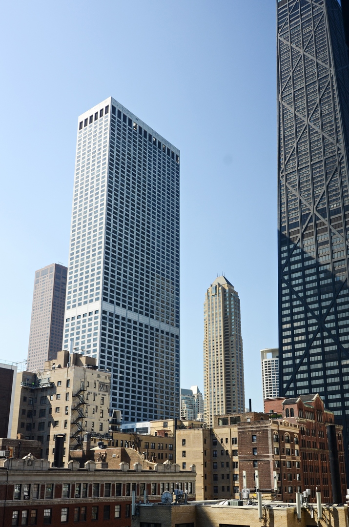 910 North Lake Shore Drive Chicago IL 60611
