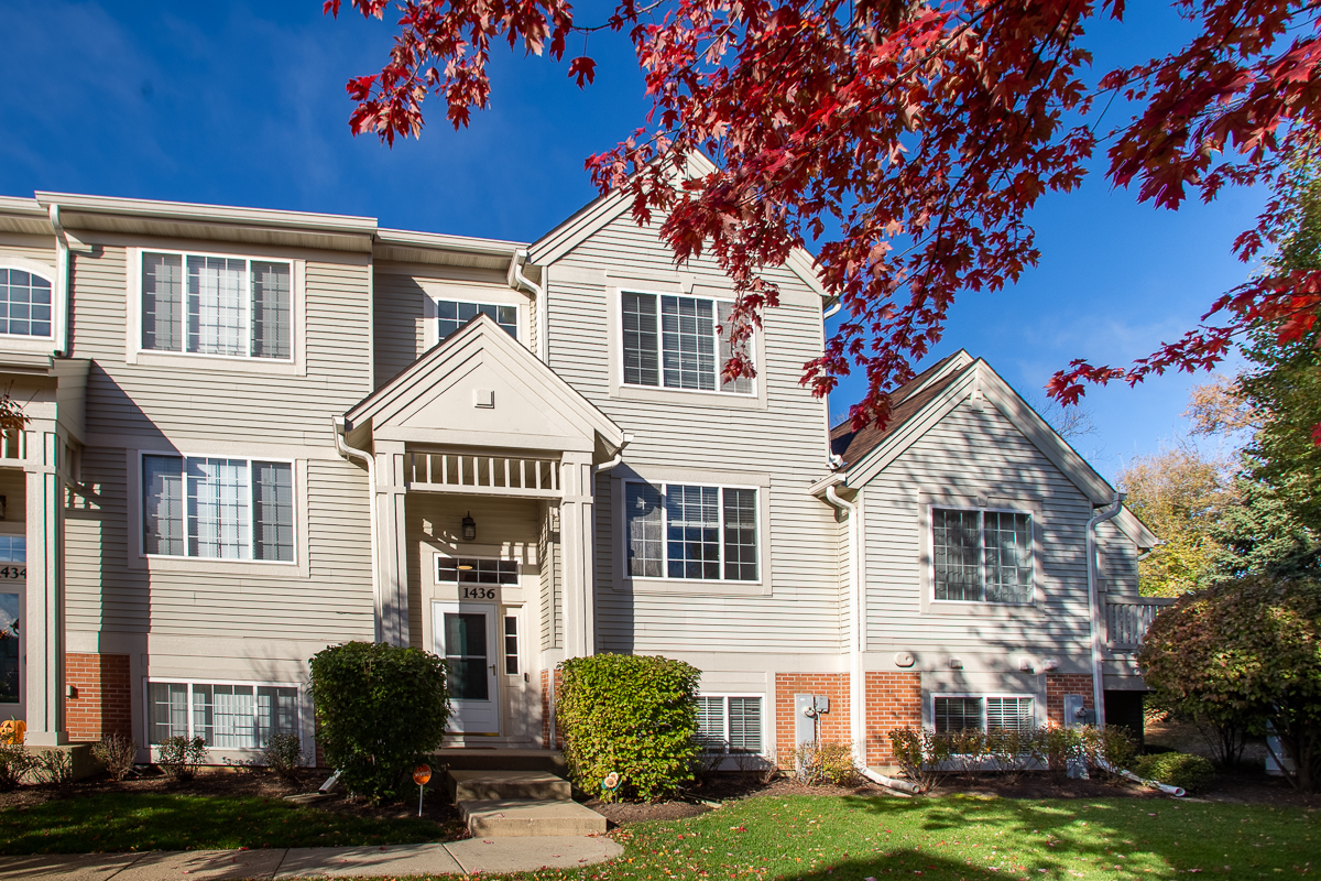 1436 New Haven Drive Cary IL 60013