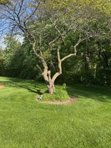 307 Carol Court Pontiac IL 61764