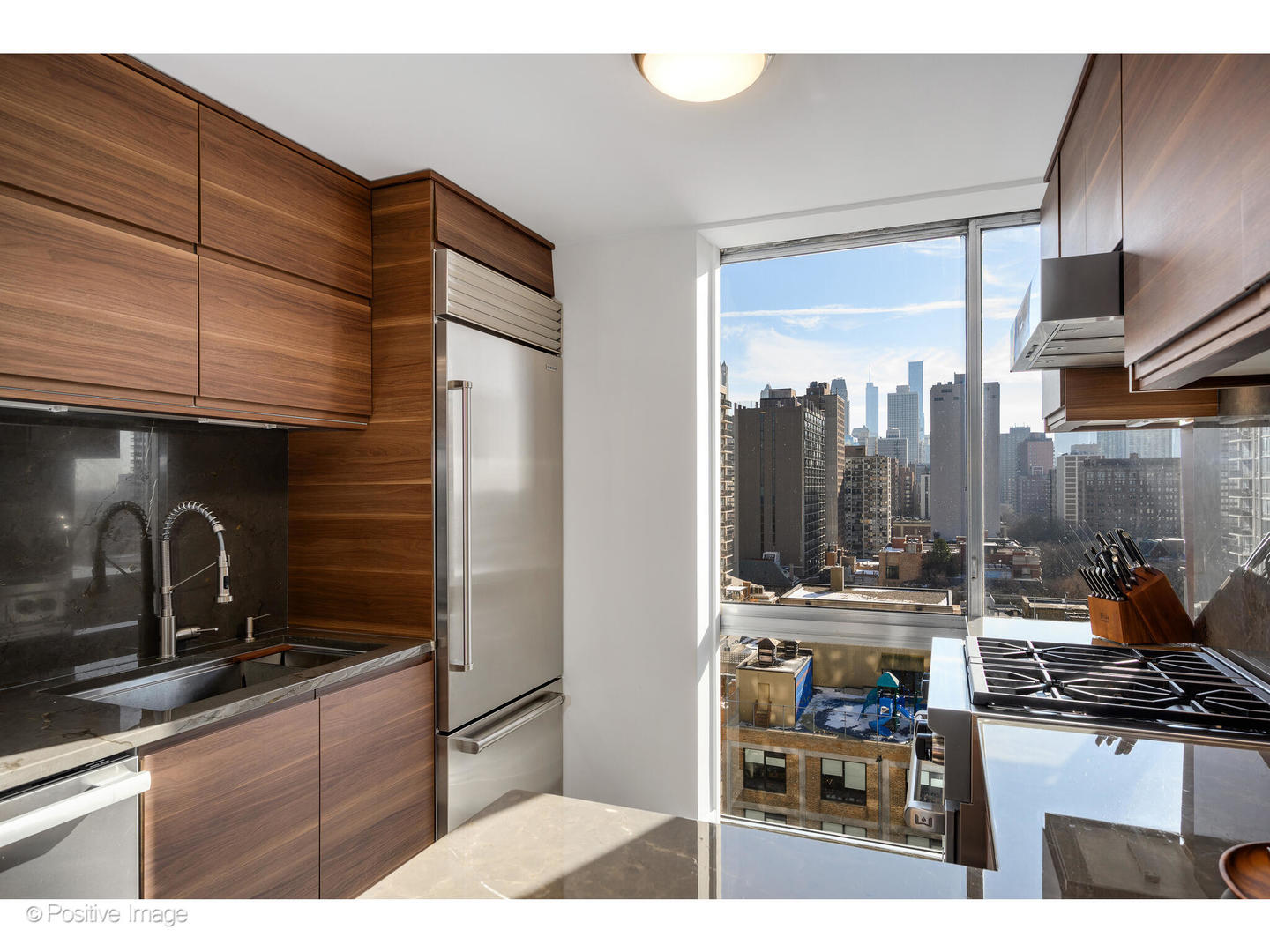 1555 North Dearborn Parkway Chicago IL 60610