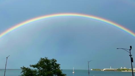 900 North Lake Shore Drive Chicago IL 60611
