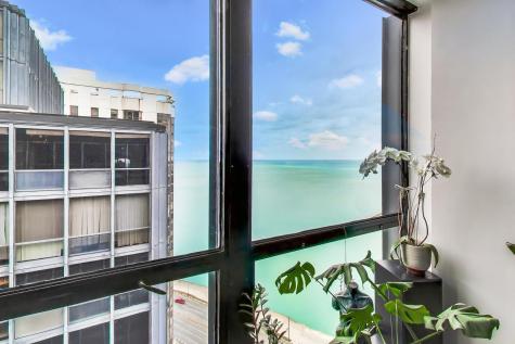 900 North Lake Shore Drive Chicago IL 60611