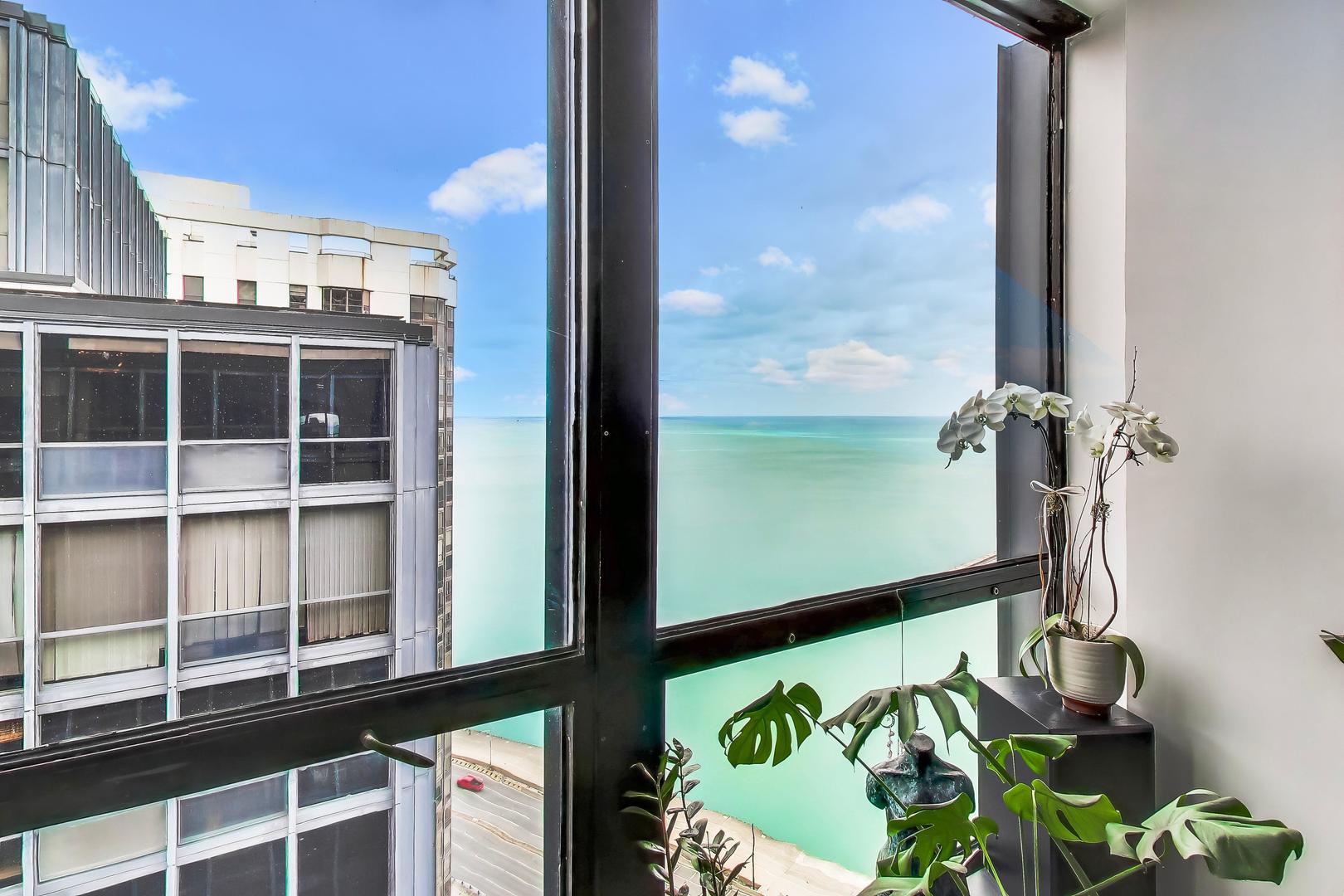 900 North Lake Shore Drive Chicago IL 60611