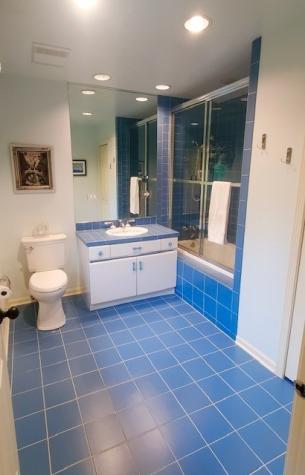 1210 Hawthorne Lane Hinsdale IL 60521