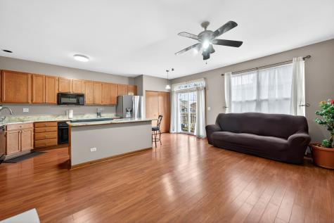 1293 Georgetown Way Vernon Hills IL 60061