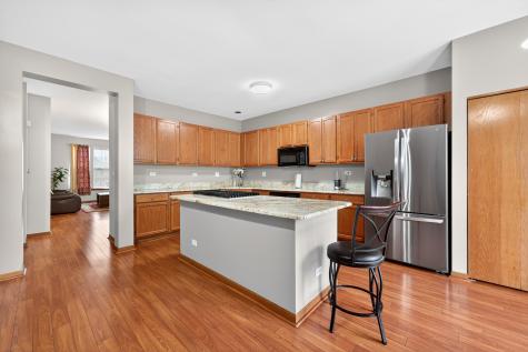 1293 Georgetown Way Vernon Hills IL 60061