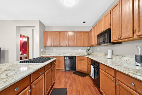 1293 Georgetown Way Vernon Hills IL 60061