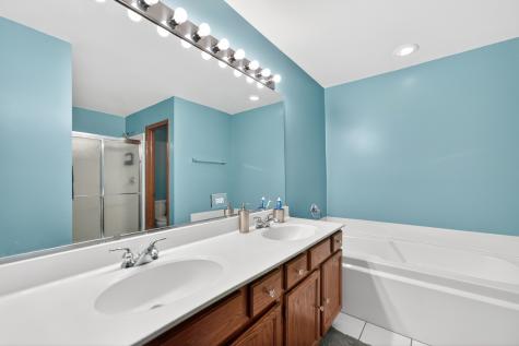 1293 Georgetown Way Vernon Hills IL 60061