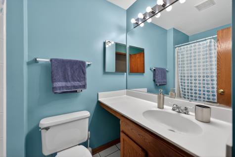 1293 Georgetown Way Vernon Hills IL 60061