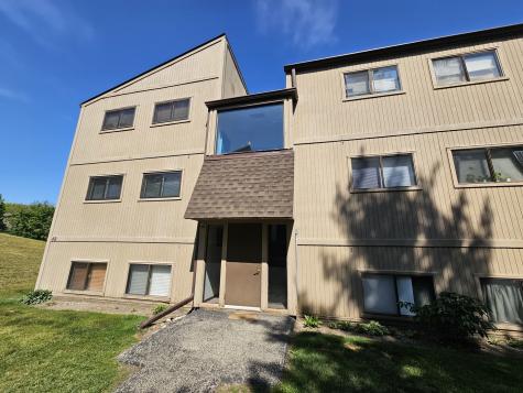 49 Oak Hill Colony Street Fox Lake IL 60020