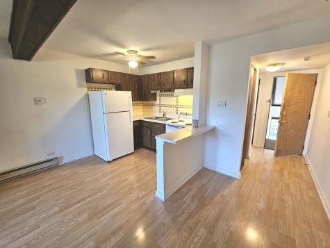 49 Oak Hill Colony Street Fox Lake IL 60020