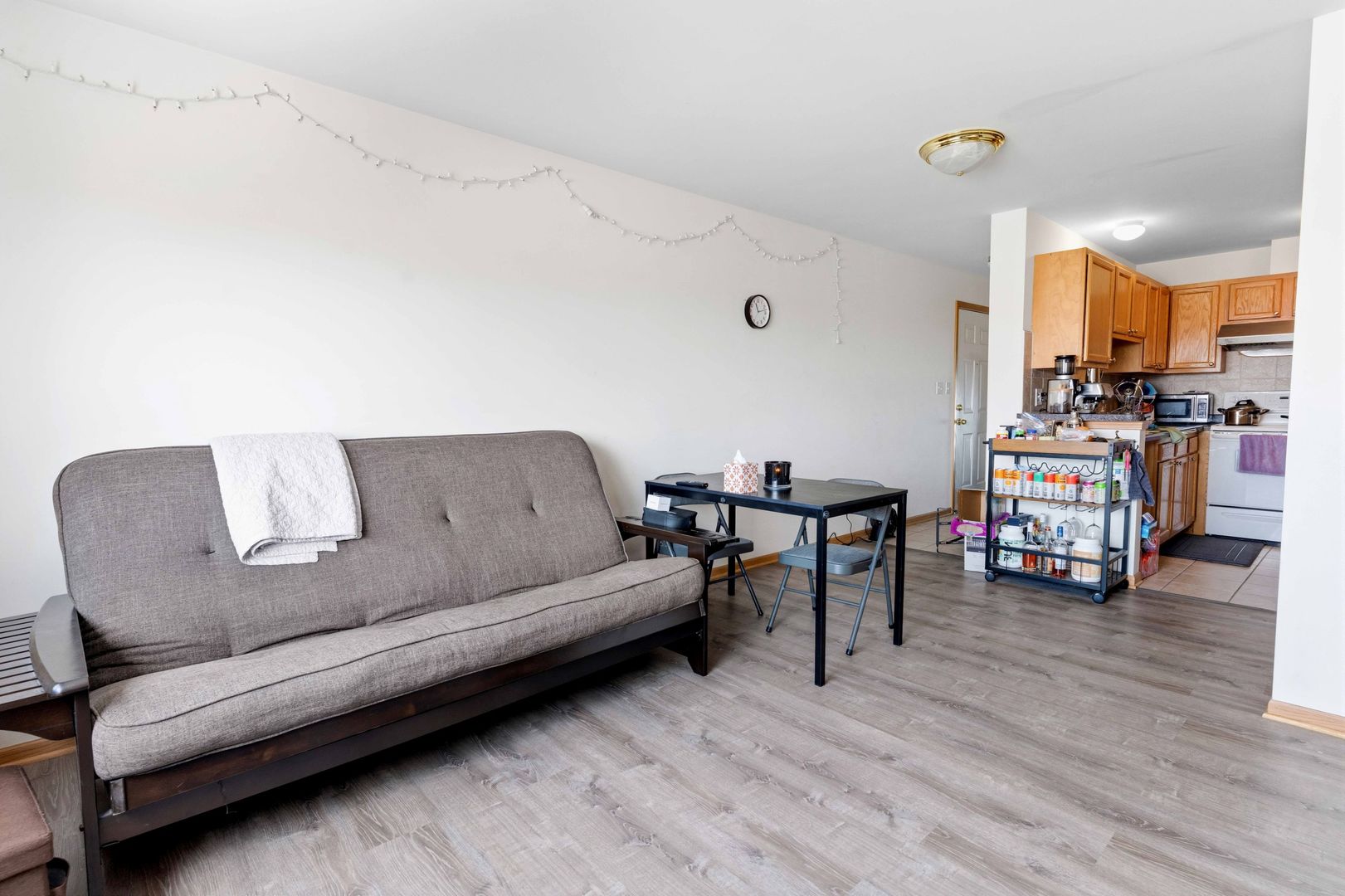 313 West 23rd Street Chicago IL 60616