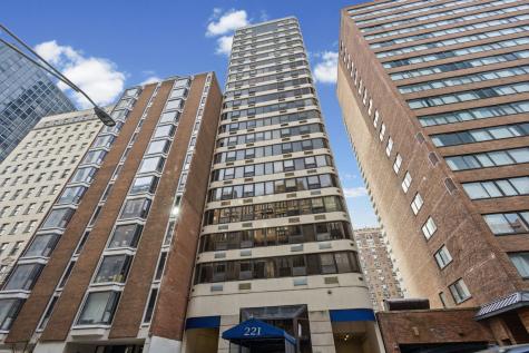 221 East Walton Place Chicago IL 60611