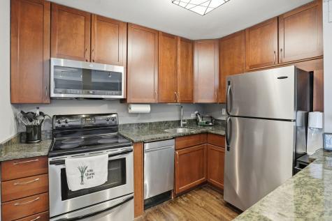 1455 North Sandburg Terrace Chicago IL 60610