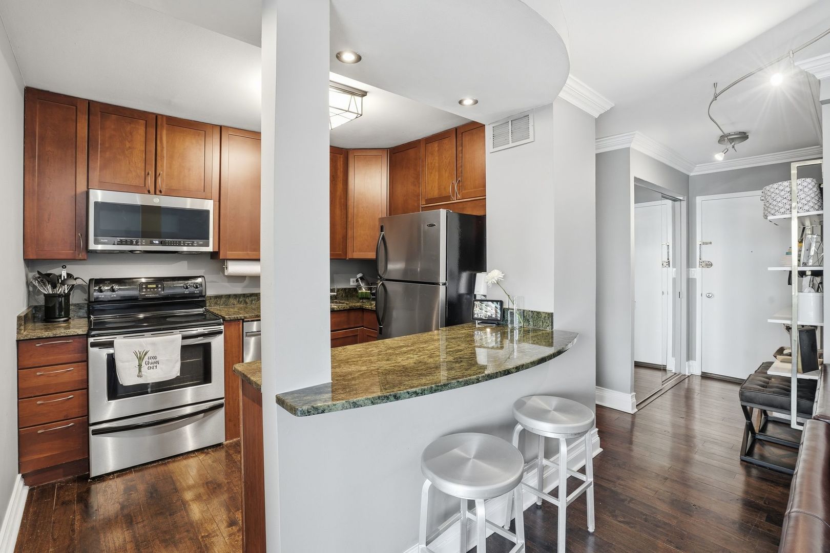 1455 North Sandburg Terrace Chicago IL 60610