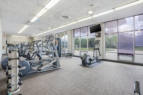 1455 North Sandburg Terrace Chicago IL 60610