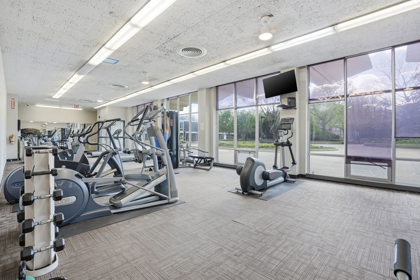 1455 North Sandburg Terrace Chicago IL 60610