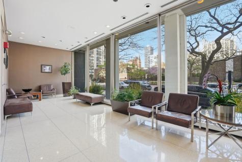 1455 North Sandburg Terrace Chicago IL 60610