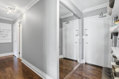 1455 North Sandburg Terrace Chicago IL 60610