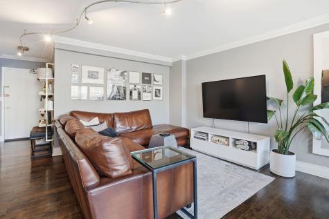 1455 North Sandburg Terrace Chicago IL 60610