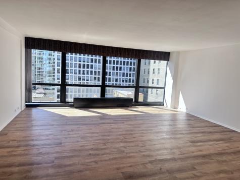 900 North Lake Shore Drive Chicago IL 60611