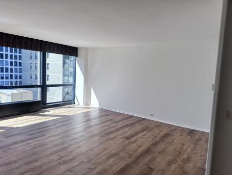 900 North Lake Shore Drive Chicago IL 60611