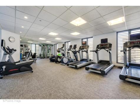 950 North Michigan Avenue Chicago IL 60611
