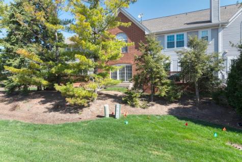1679 West Ethans Glen Drive Palatine IL 60067