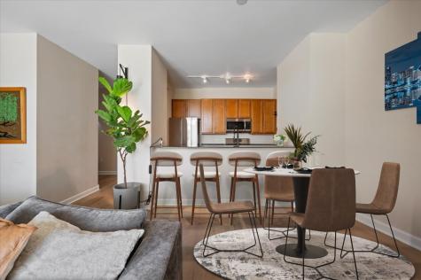 233 East 13th Street Chicago IL 60605