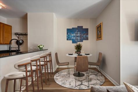 233 East 13th Street Chicago IL 60605