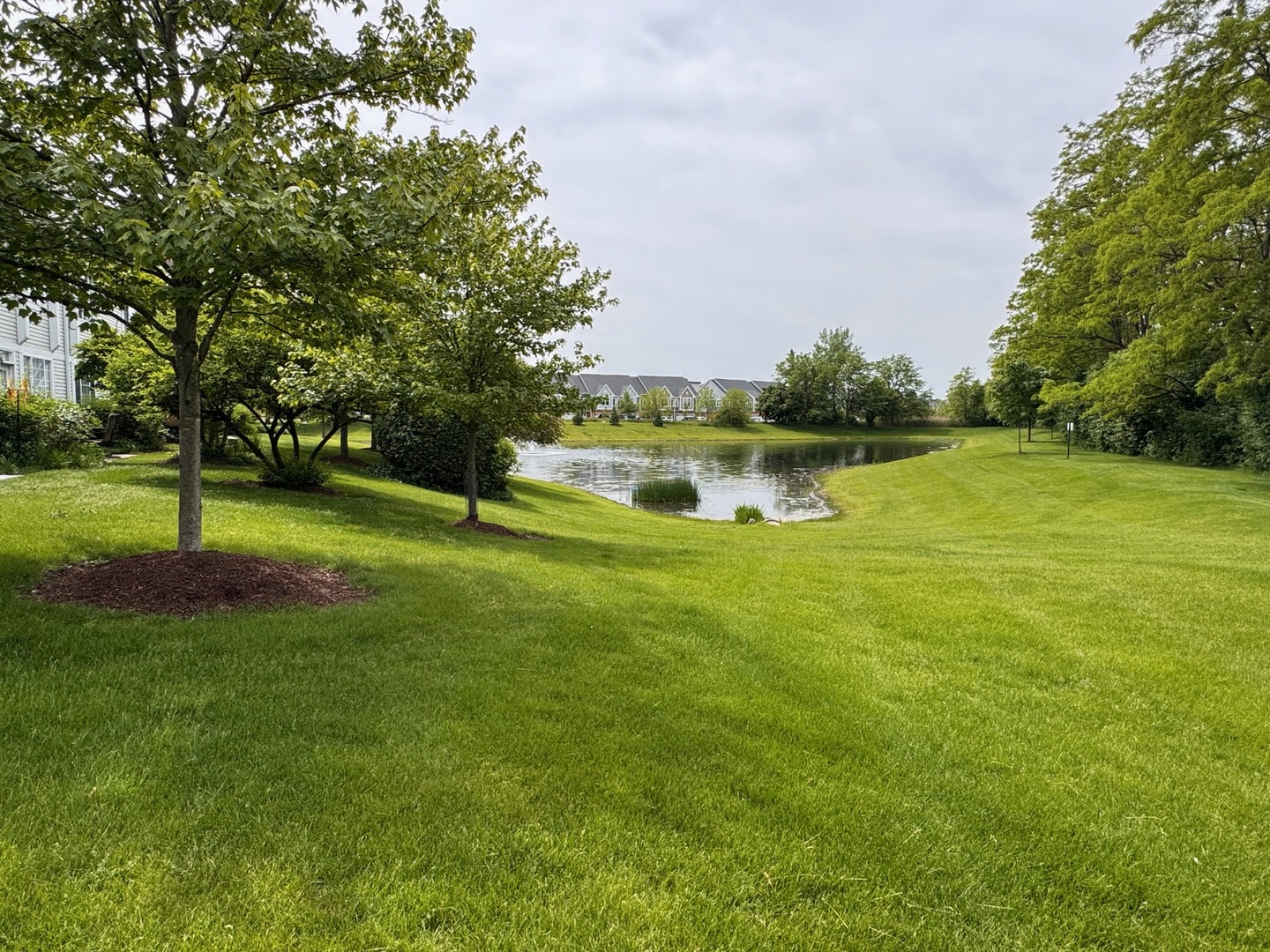 31306 Kline Circle Warrenville IL 60555