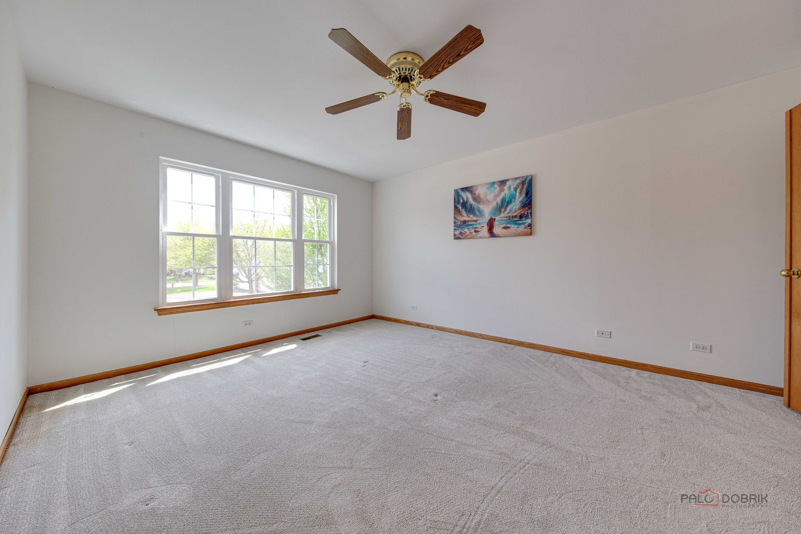 2944 Oak Court Schaumburg IL 60193