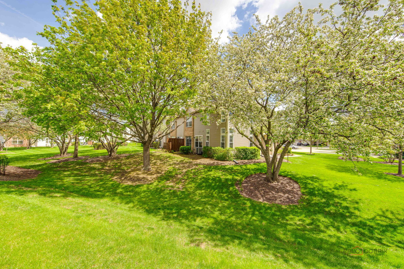 2944 Oak Court Schaumburg IL 60193
