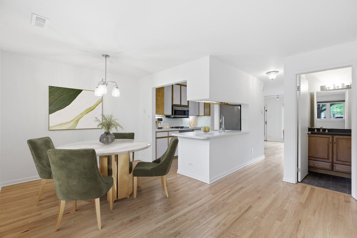 1085 South Park Terrace Chicago IL 60605